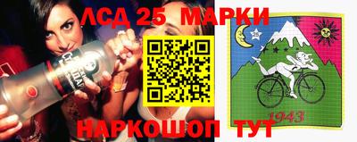 мдпв Новозыбков