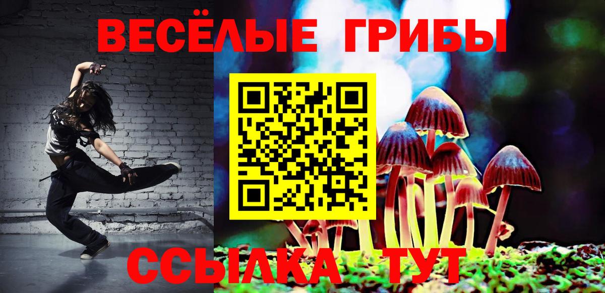 Галлюциногенные грибы Cubensis Самара