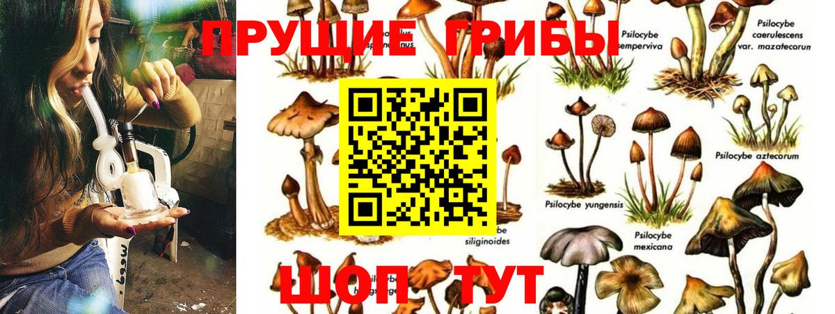 Самара  Галлюциногенные грибы мухоморы  Вход с VPN  где продают наркотики  Псилоцибиновые грибы Magic Shrooms 